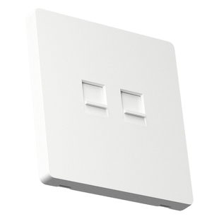 国际电工86型暗装直通千兆网络网口面板双光纤超六类网线电脑插座