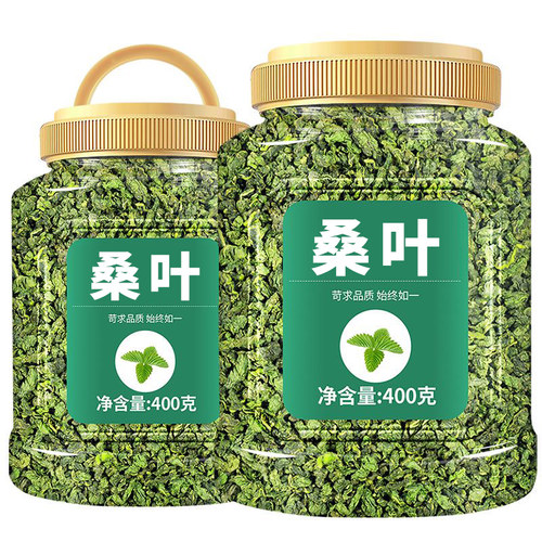 正品桑叶茶霜后优选桑叶茶新鲜罐装散装天然野生秋霜后桑叶茶泡水
