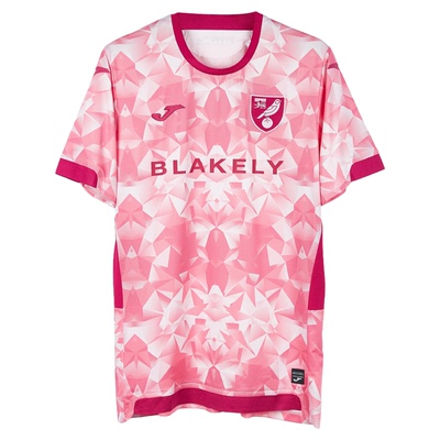 荷马25/26诺维奇二客球员版球衣