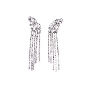 欧美全新夸张大流苏耳环浮夸风派对耳饰女小众设计感稻穗满钻耳钉