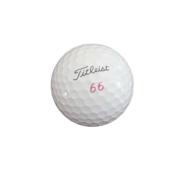 高尔夫球Titleist下场比赛二手球