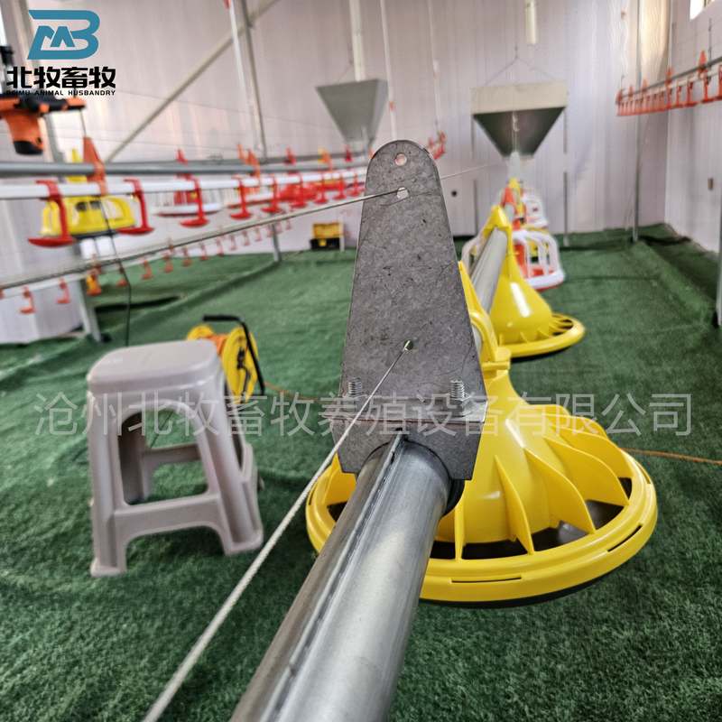 鸡舍平养水线料线线自动料器鸡鸭料设备盘鹅用料下料散养鸡线养鸡