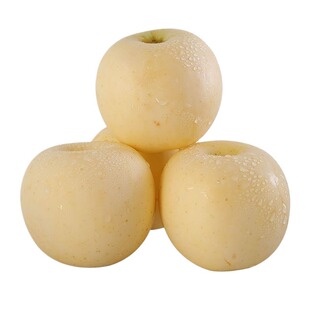 山东烟台黄金奶油富士苹果脆甜多汁产地直发新鲜水果当季应季现摘