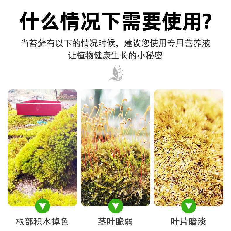 苔藓营养液专用肥盆栽微景观造景绿植生根液体治干枯黄叶增绿肥料