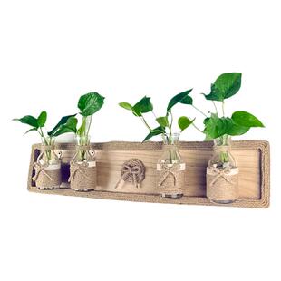 创意日式木板挂墙麻绳装饰水培玻璃花器家居客厅书房工艺品挂件