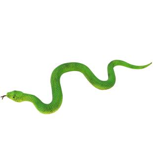 仿真硅胶竹叶青五步蛇玩具模型软胶眼睛蛇动物响尾蛇超长吓人整蛊