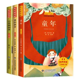 童年爱的教育小英雄雨来六年级上册快乐读书吧全3册鲁滨逊漂流记6年级下册课外阅读书推荐必读经典名著经典故事书目原版完整版