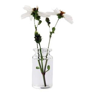 包邮50个墙上麻绳串串花瓶幼苗玻璃瓶无盖小挂瓶养生石花试管瓶子