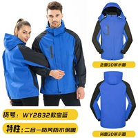XW-WY2832 Royal Blue