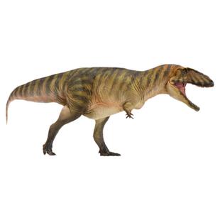 PNSO鲨齿龙甘巴恐龙大王成长陪伴模型50