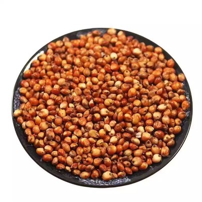 酿酒专用红高粱红缨子贵州糯高粱农家自产鸽粮杂粮饲料一斤鸽子