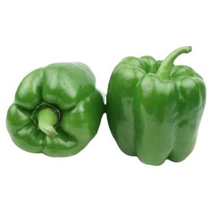 高产圆椒菜椒苗辣椒苗秧苗青椒太空椒方椒种籽灯笼椒秧子阳台菜苗