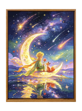 梵高的星空下玫瑰小王子数字油画