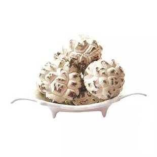 随州大花菇干货500g肉厚椴木小香菇新鲜冬菇菌菇干蘑菇土特产商用