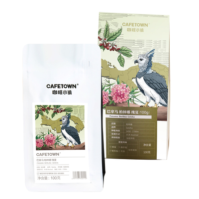 咖啡小镇巴拿马柏林娜咖啡豆