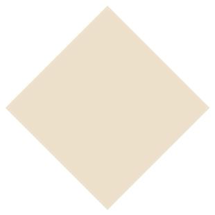 远晶 400x800x800客厅地砖柔光瓷砖厨卫墙砖阳台防滑奶油风天鹅绒