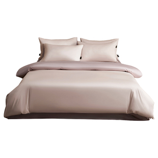 高级60支长绒棉床上四件套全棉纯棉床单被套床笠2025新款秋冬床品