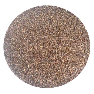 二月兰种子耐寒耐阴易活绿肥多年生景观花海二月蓝籽二月兰花种籽