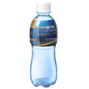 五大连池矿泉水含气水气泡水药罕泉含气天然冷矿泉350ml*24瓶包邮