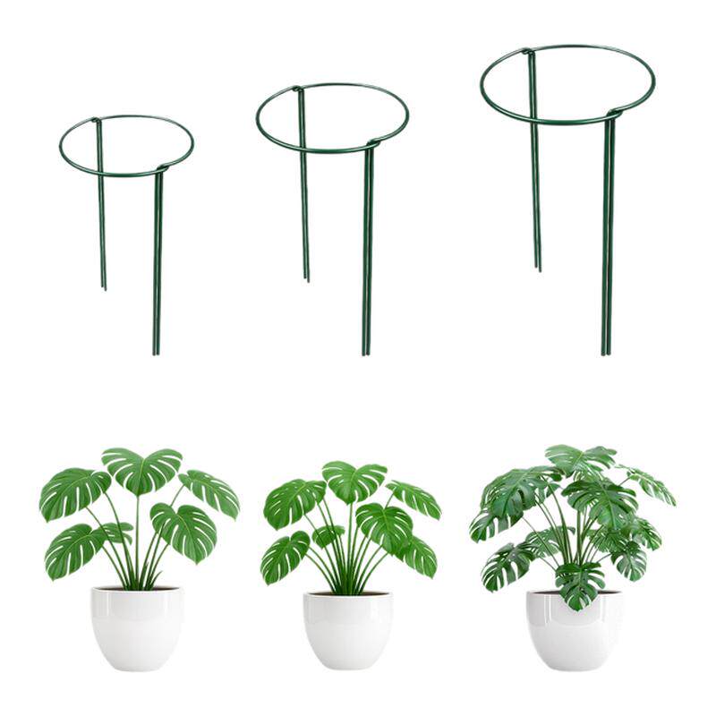 阳台加粗防倒伏植物支撑杆