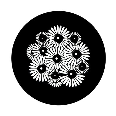 66mm摄影聚光筒插片OT1投影片光效造型束光筒爱图仕se艺术图形片