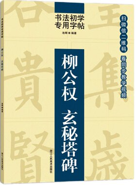 同步视频教学 柳公权玄秘塔碑 书法初学者专用字帖 柳公权楷书教程/毛笔碑帖练字入门中国书法培训教材书/正版楷书书写技法学习书