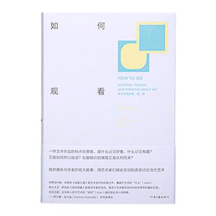 如何观看 关于艺术的看、说、思  大卫·萨利 著 艺术理论 艺术研究 正版直营 理想国图书旗舰店