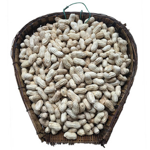 重庆土特产綦江东溪花生农家水煮盐咸干花生日晒干绵子花生零食