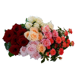 顺丰包邮新鲜花卉红玫瑰香槟鲜切花基地山东直发批发同城配送速递