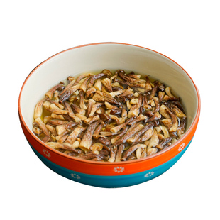 新货无硫熏 嫩仔鹿茸菇  小条但是嫩脆  鹿茸菇特产菇类干货煲汤