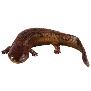 林畅模玩水生两栖爬行动物玩具娃娃鱼模型实心仿真大鲵鱼儿童认知