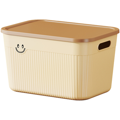 【拍1发2】到手2个带盖大收纳箱