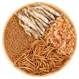 水龟巴西龟专属罐装小颗粒粮家养乌龟日常饲喂专用营养饲料
