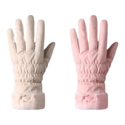 手套女冬季加绒加厚防水保暖2025新款触屏防风防寒电动车骑行手套