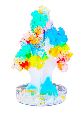 探询雪花种植趣味科学儿童小实验