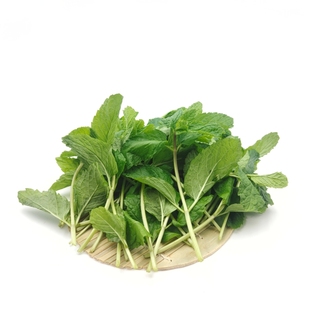 云南薄荷叶新鲜可食用烘焙调酒专用蛋糕装饰点缀商用奶茶店莫吉托