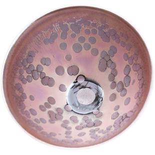 宋研 | 游吾雄手工彩金粉油滴点茶盏 仿宋点茶大束口建盏抹茶碗