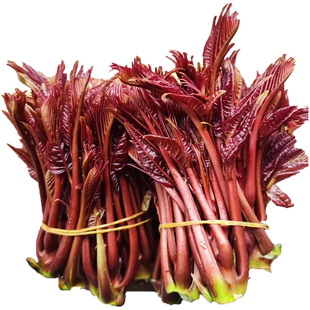 四川重庆特产红香椿芽新鲜春丫露天红油椿芽农家当季蔬250克包邮