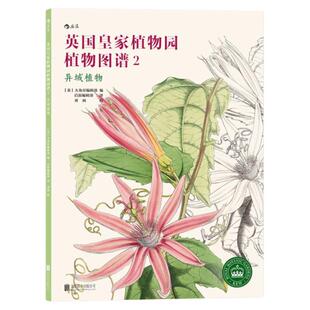 英国皇家植物园植物图谱2 异域植物 沃尔特·胡德·费奇彩绘插图解说植物图文科普 创意涂色描绘画实用艺术美术书籍 后浪正版直营
