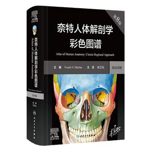 奈特人体解剖学图谱第8版张卫光彩色神经系统肌肉骨骼生理学肌动学解刨格氏结构功能微创腔镜放射影像人卫版教材解剖彩色学图谱