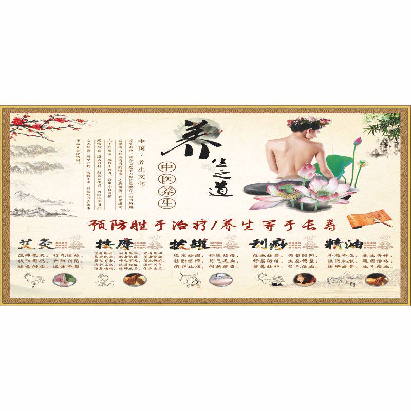 中医养生馆艾灸头疗海报九种体质