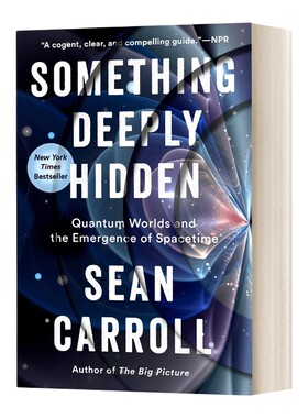 英文原版 Something Deeply Hidden 深藏之物 量子世界和时空的出现 英文版 进口英语原版书籍