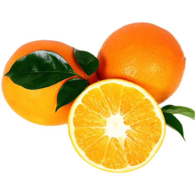 江西赣南脐橙新鲜橙子当季水果手剥果冻橙子冰糖甜橙大果整箱包邮
