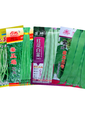 豆角种子大全春秋播种好吃发芽高