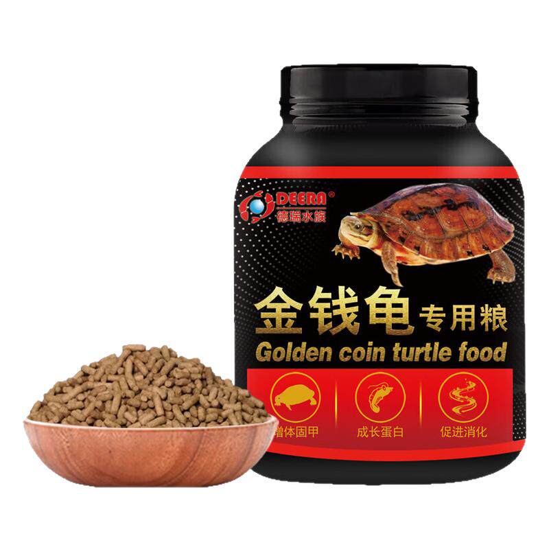 石龟金钱幼龟开口粮金钱龟大粒