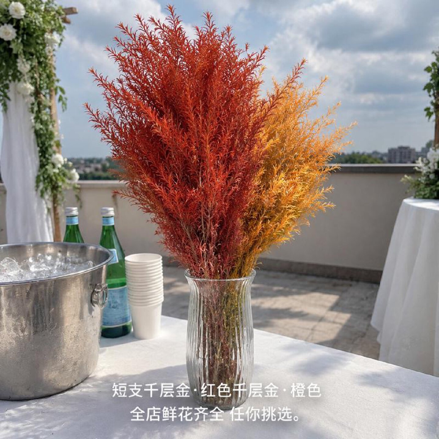 短支千层金红色橙色木本切花搭配混色千层金鲜切花材花束线条花材