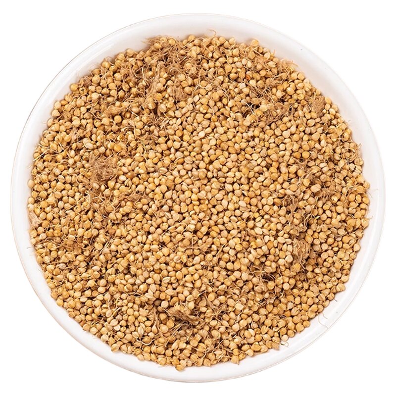 谷芽中药材正品官方旗舰店生谷芽炒谷芽另售陈皮稻芽麦芽山楂泡茶