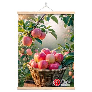 硕果累累挂画餐厅画好寓意玄关客厅装饰画水果丰收挂轴红苹果壁画