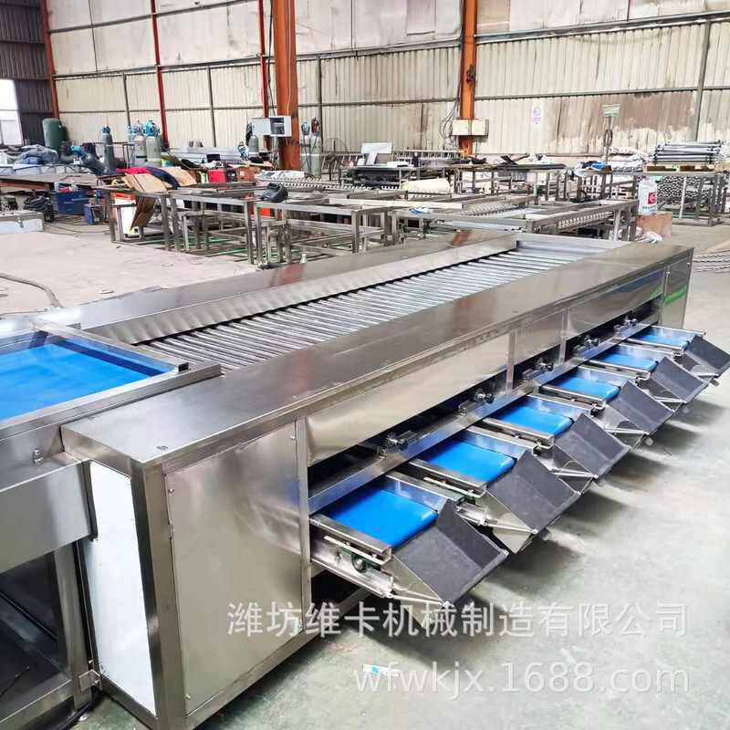 橘子选果机 洋葱滚杠分级机 土豆分选设备 全自动圆形果蔬分选机