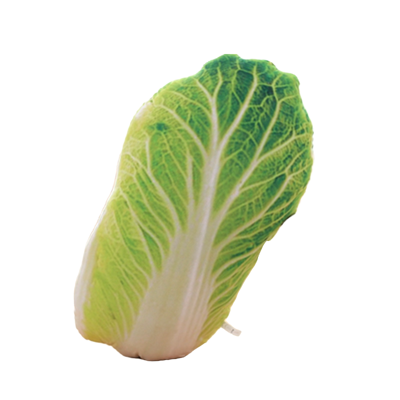 仿真蔬菜公仔抱枕冬瓜土豆青菜辣椒毛绒靠垫创意玩具礼品拍摄道具